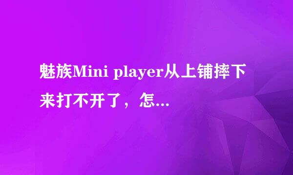 魅族Mini player从上铺摔下来打不开了，怎么办，能不能修好？里面有对我重要的东西阿…如题 谢谢了