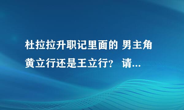 杜拉拉升职记里面的 男主角 黄立行还是王立行？ 请附上详细档案跟经历