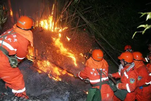 重庆北碚缙云山的山火连烧4天！造成此次山火的原因是什么？