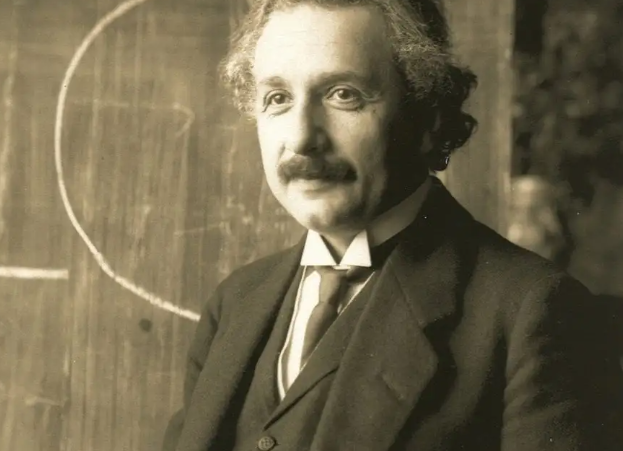 einstein是什么意思啊