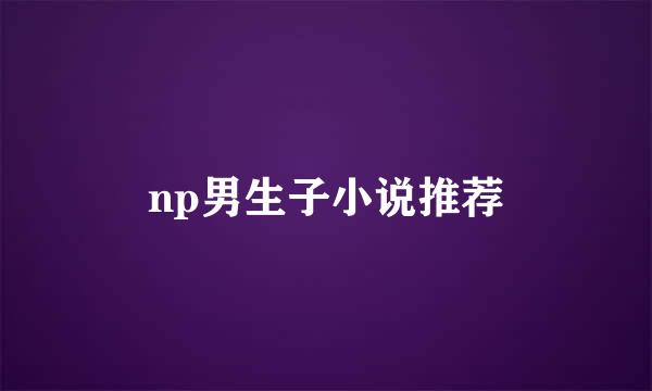 np男生子小说推荐