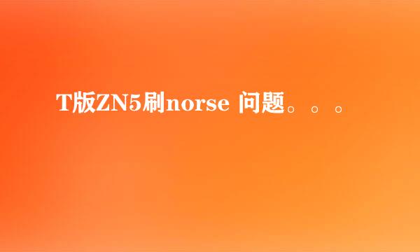 T版ZN5刷norse 问题。。。