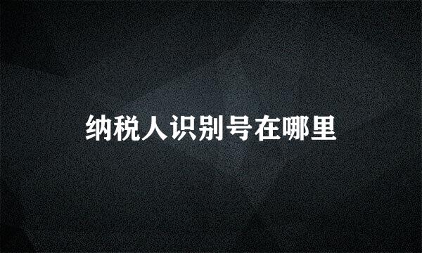 纳税人识别号在哪里