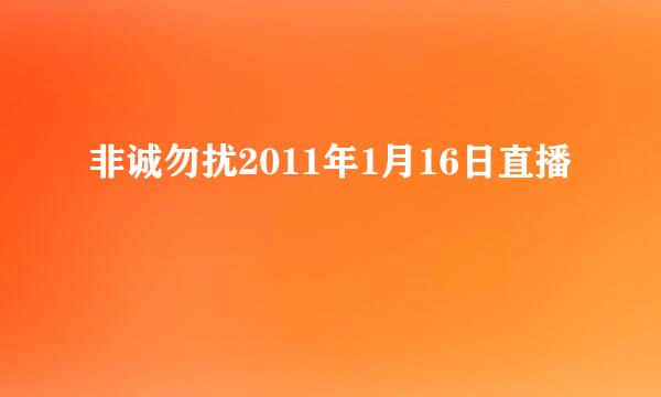 非诚勿扰2011年1月16日直播