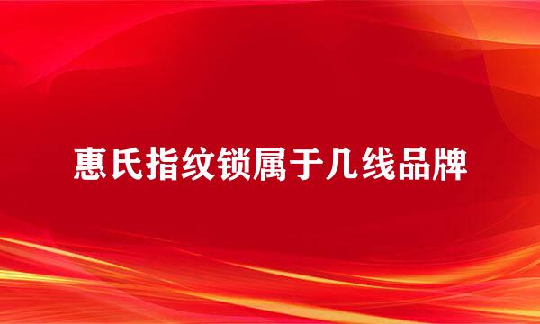 惠氏指纹锁属于几线品牌