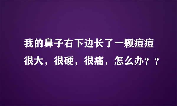 我的鼻子右下边长了一颗痘痘很大，很硬，很痛，怎么办？？