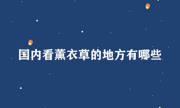 国内看薰衣草的地方有哪些