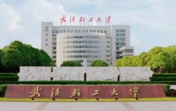 武汉轻工大学是一本还是二本