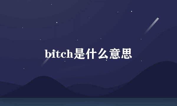 bitch是什么意思