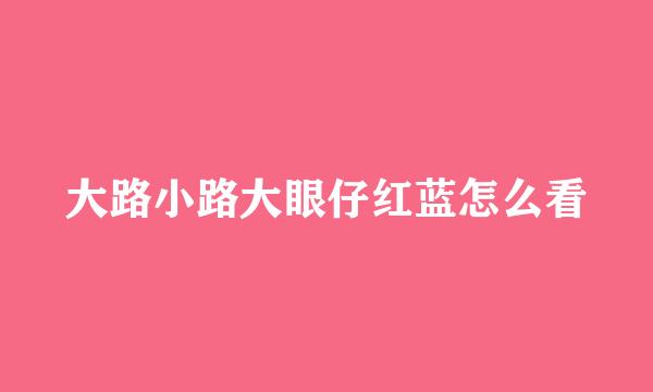 大路小路大眼仔红蓝怎么看