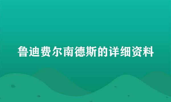 鲁迪费尔南德斯的详细资料