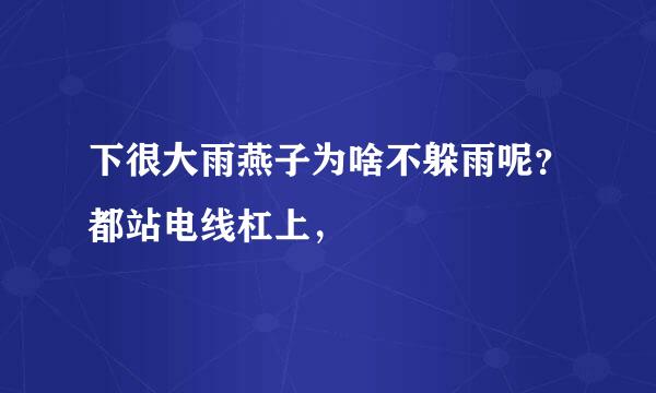 下很大雨燕子为啥不躲雨呢？都站电线杠上，