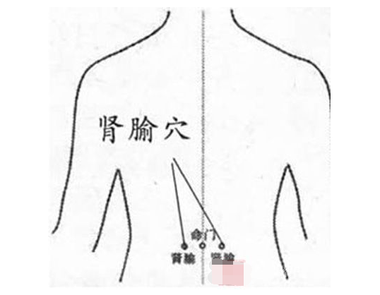 肾部保养手法视频