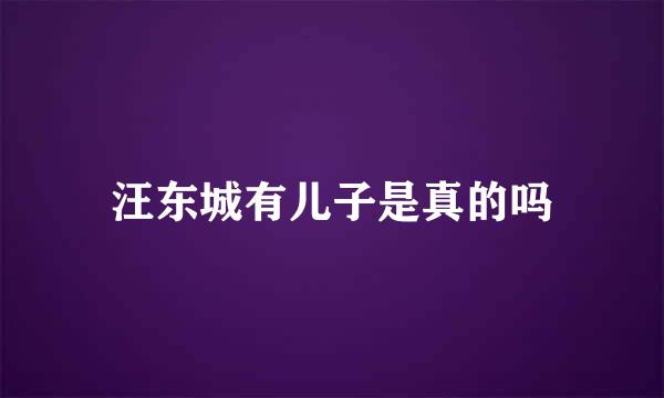 汪东城有儿子是真的吗