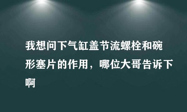 我想问下气缸盖节流螺栓和碗形塞片的作用，哪位大哥告诉下啊