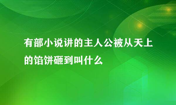 有部小说讲的主人公被从天上的馅饼砸到叫什么