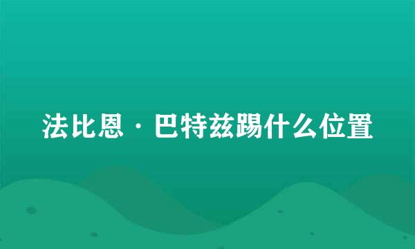 法比恩·巴特兹踢什么位置