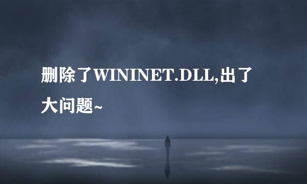 删除了WININET.DLL,出了大问题~