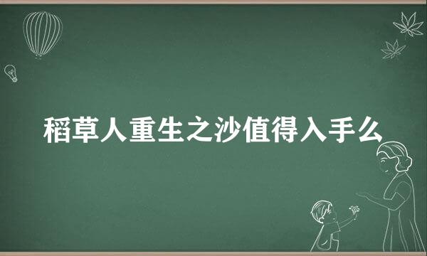 稻草人重生之沙值得入手么