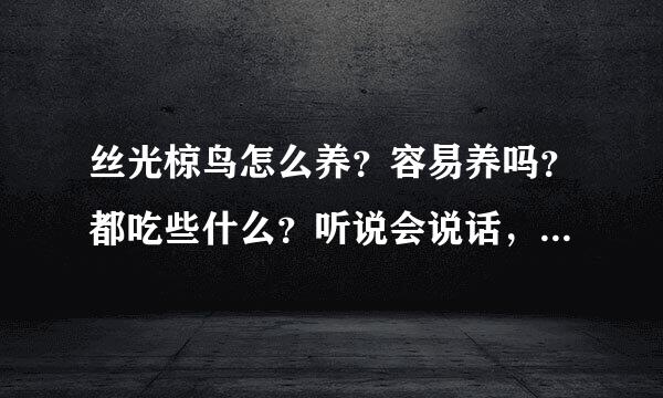 丝光椋鸟怎么养？容易养吗？都吃些什么？听说会说话，真的吗？