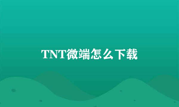 TNT微端怎么下载