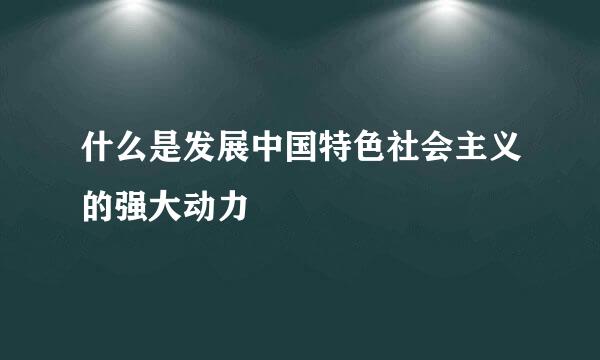 什么是发展中国特色社会主义的强大动力