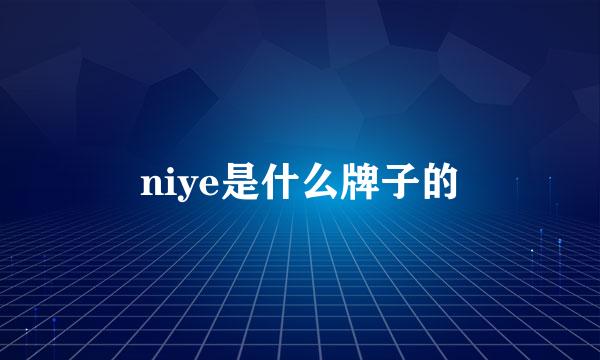 niye是什么牌子的