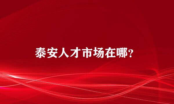 泰安人才市场在哪？