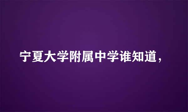 宁夏大学附属中学谁知道，