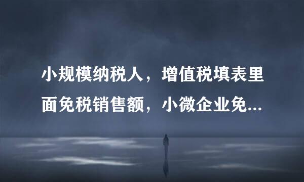 小规模纳税人，增值税填表里面免税销售额，小微企业免税销售额，未起征点销售额，其他免税销售额，怎么填