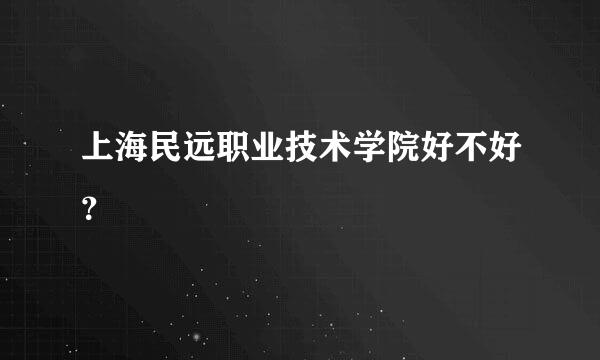 上海民远职业技术学院好不好？