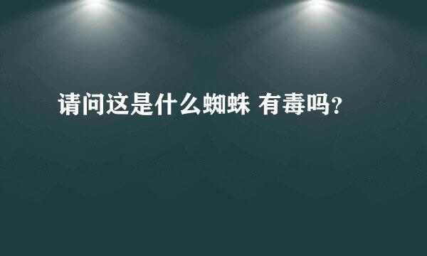 请问这是什么蜘蛛 有毒吗？