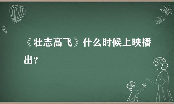 《壮志高飞》什么时候上映播出？