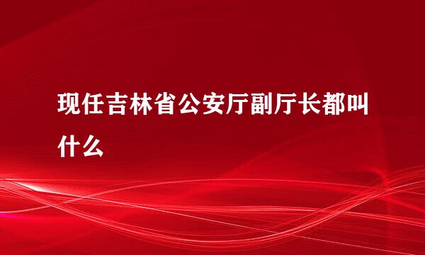 现任吉林省公安厅副厅长都叫什么