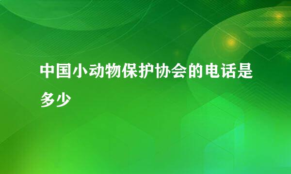 中国小动物保护协会的电话是多少