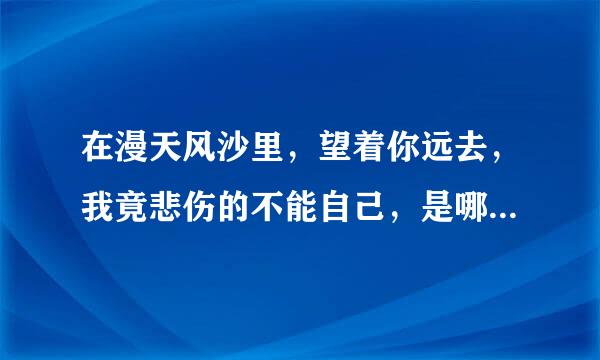 在漫天风沙里，望着你远去，我竟悲伤的不能自己，是哪首歌的歌词？