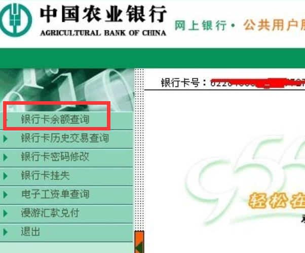 如何在网上查询农业银行卡的余额