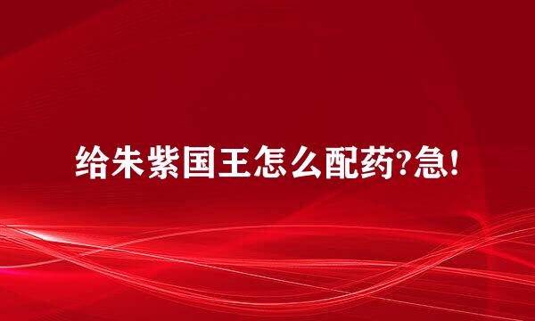 给朱紫国王怎么配药?急!