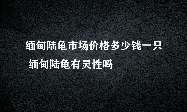 缅甸陆龟市场价格多少钱一只 缅甸陆龟有灵性吗