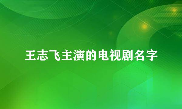 王志飞主演的电视剧名字