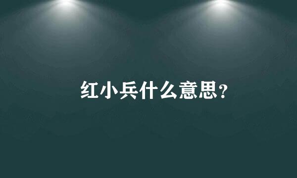  红小兵什么意思？