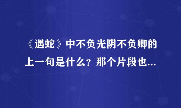 《遇蛇》中不负光阴不负卿的上一句是什么？那个片段也顺便发一下。注意不是诗句，是《遇蛇》中的