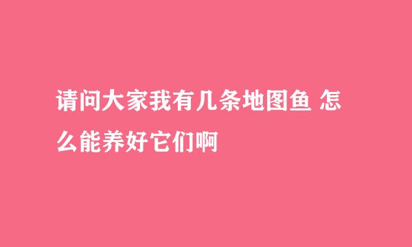 请问大家我有几条地图鱼 怎么能养好它们啊