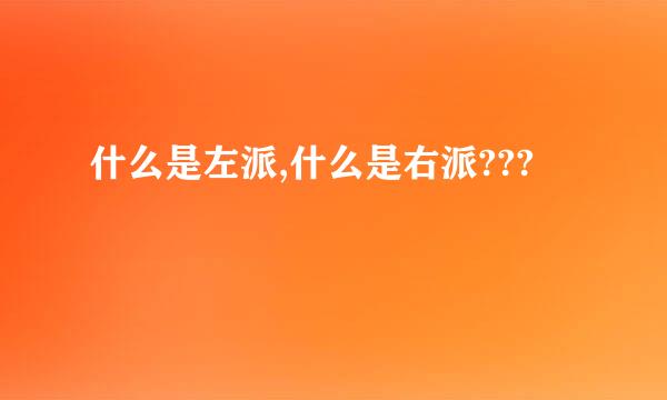 什么是左派,什么是右派???