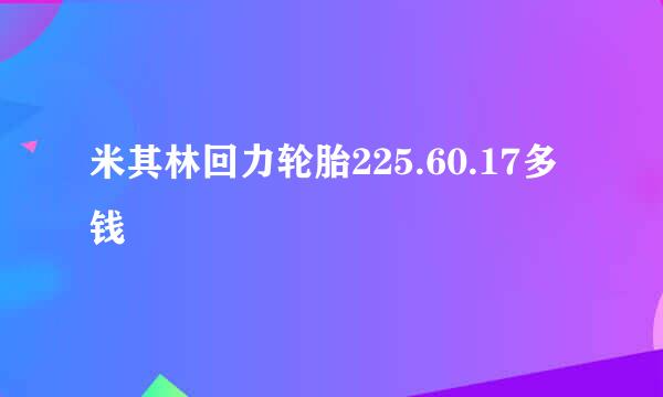 米其林回力轮胎225.60.17多钱