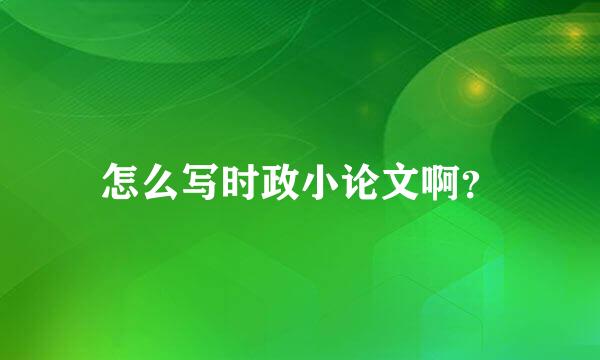 怎么写时政小论文啊？