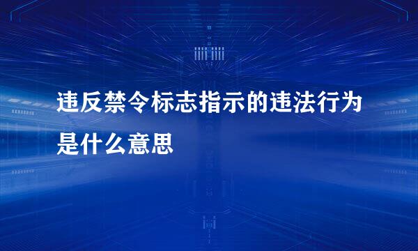 违反禁令标志指示的违法行为是什么意思