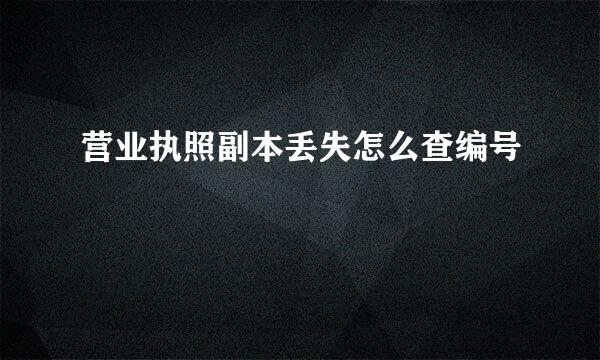 营业执照副本丢失怎么查编号