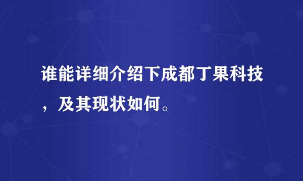 谁能详细介绍下成都丁果科技，及其现状如何。