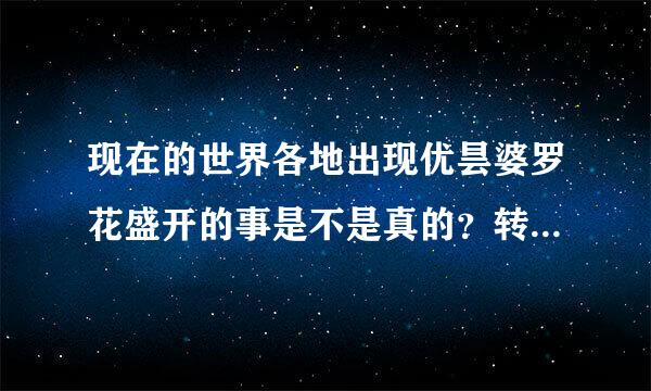 现在的世界各地出现优昙婆罗花盛开的事是不是真的？转轮圣王在人间传法了？